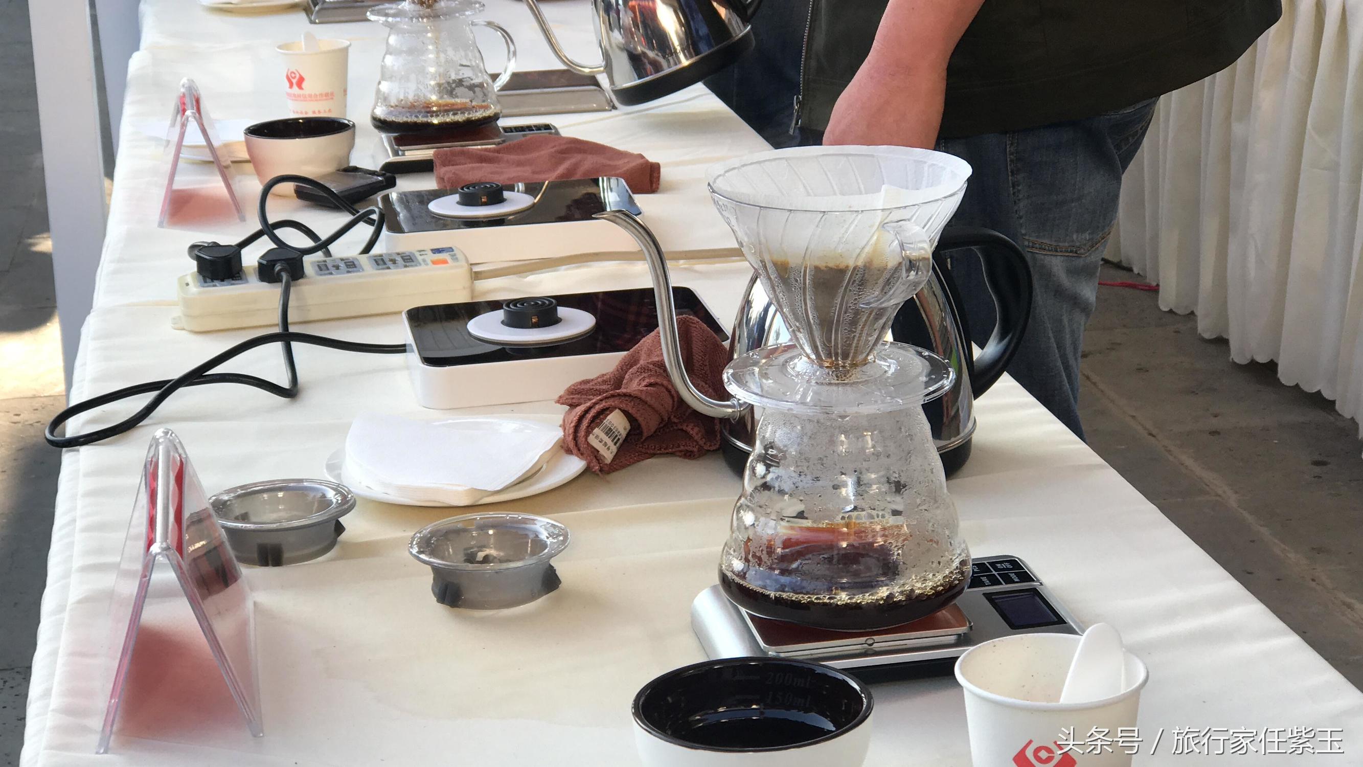 猫屎咖啡和普通咖啡有什么区别呢,猫屎咖啡和云南小粒咖啡哪个好