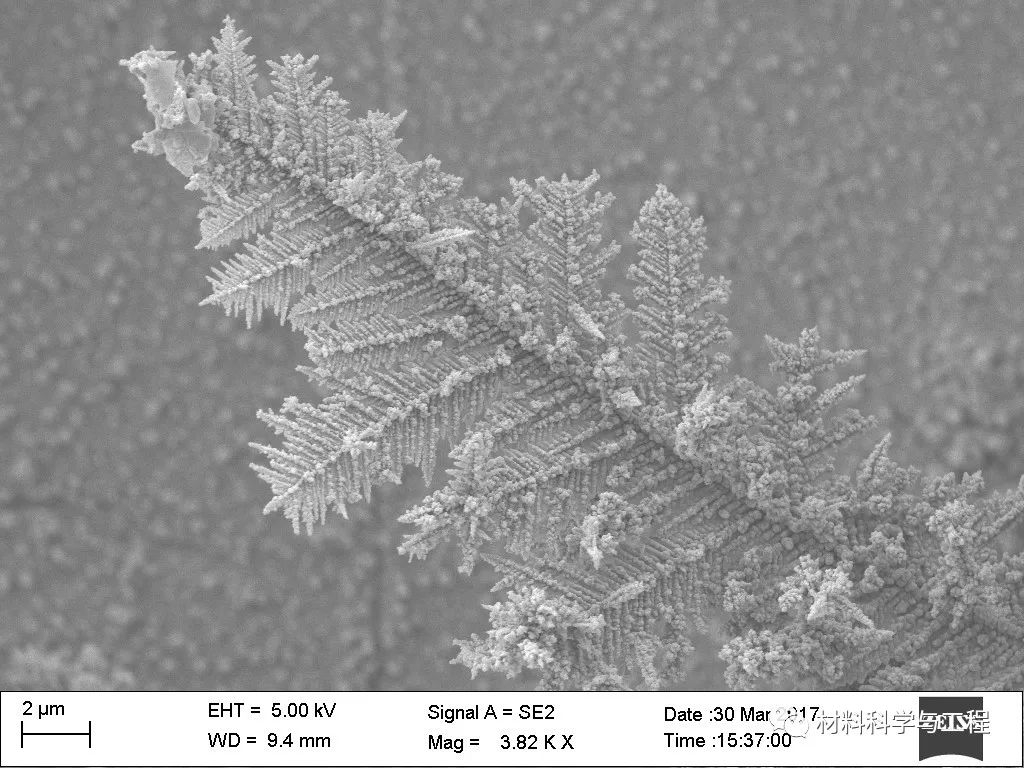 投票表决素材模板,投票素材图片图文