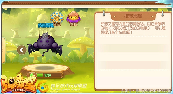 橙宠推荐朱雀玄武,入手朱雀还是白虎好