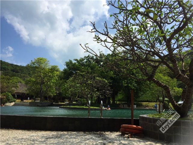 越南芽庄旅游必备单品,自驾游越南美食视频大全