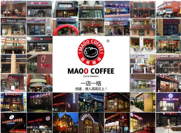 猫窝咖啡加盟大概多少钱,猫窝咖啡店加盟费多少钱