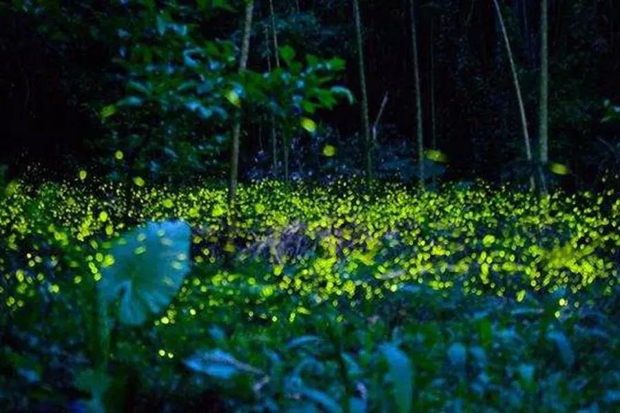 沙巴哪里适合亲子游,沙巴阳光小岛