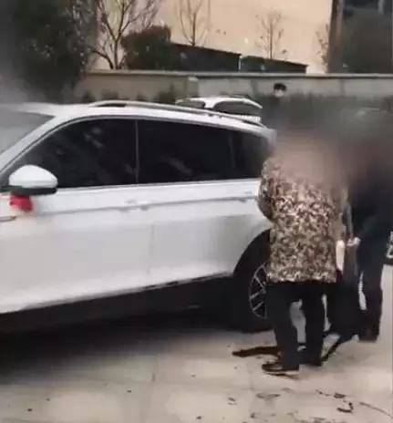当街杀狗滴血祭新车，网友气炸！