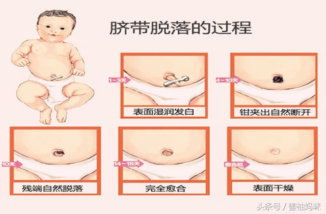 宝宝出生后的正常表现,宝宝出生前会有什么反应