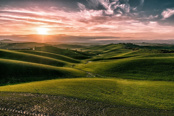 罗杰斯心理治疗教学录像,罗杰斯对心理学的最大贡献