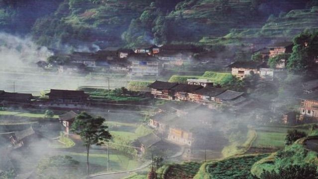 一个手机摄影师,一个摄影师日常记录生活