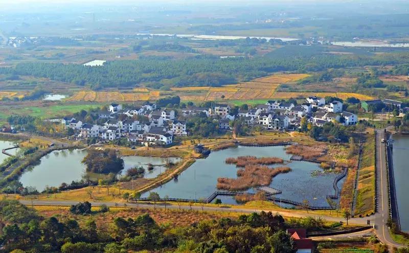 留在高淳还是去南京,在南京一定要去高淳吗