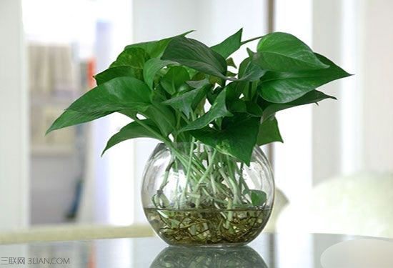 过期药片有什么功效,过期的硒药片有什么妙用