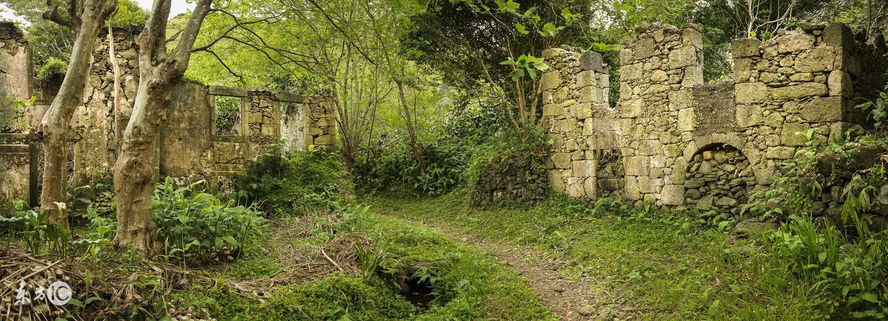 二舅是个木匠原视频,二舅是黄渤还是沈腾