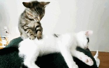 过年送礼送什么最好最简单,春节怎么送礼合适