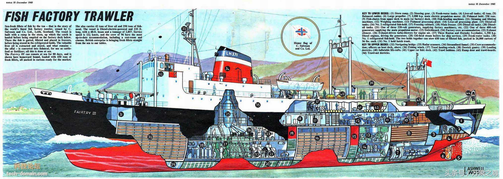 豪华邮轮实拍高清图片,豪华游轮剖面高清图