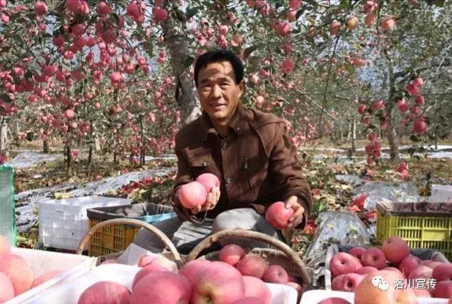 数说中国1921到1949,数说中国年12生肖