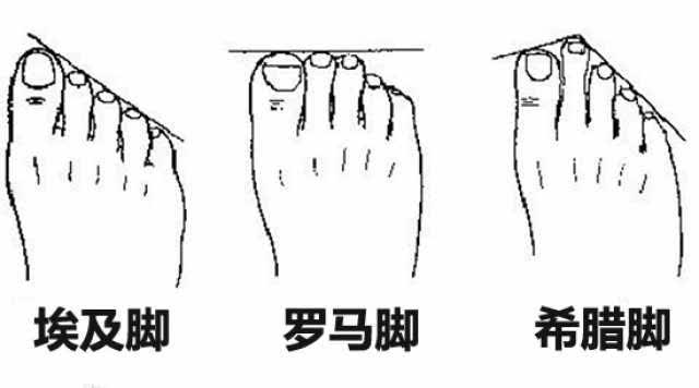 脚趾头长的人适合运动吗,第二根脚趾长是有病吗
