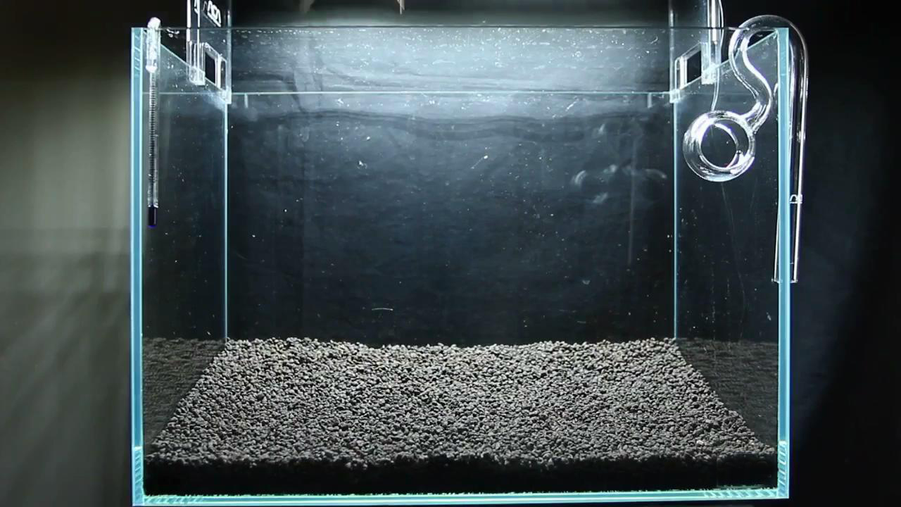 简单的草缸如何制作打理,最简单的小草缸