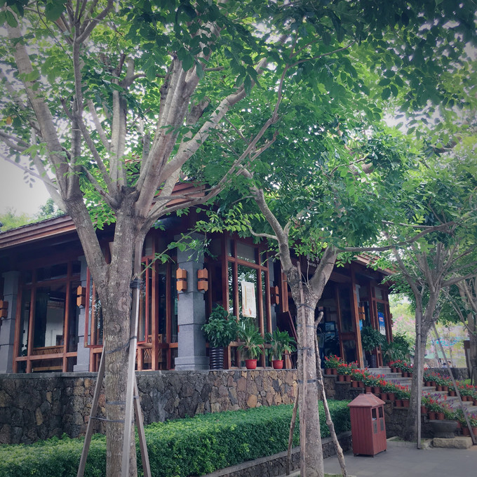 三亚暖冬之旅攻略,北纬18度海南三亚