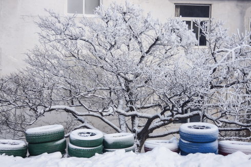 中原区有雪吗,中原雪乡在哪里