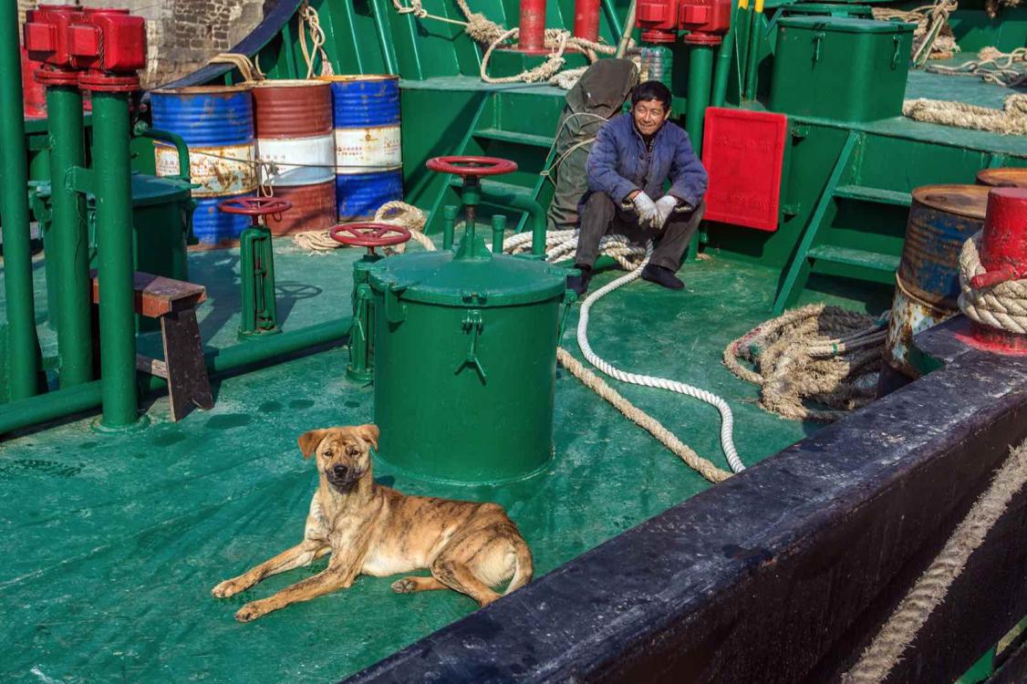 现在的东极岛,你知道凌晨四点的样子吗原视频