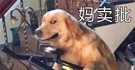 盘点打游戏崩溃的瞬间,打游戏最让人恼火的十件事