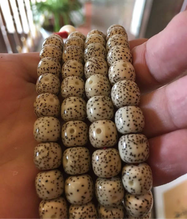 星月一个星期盘玩效果,星月三个月盘玩效果