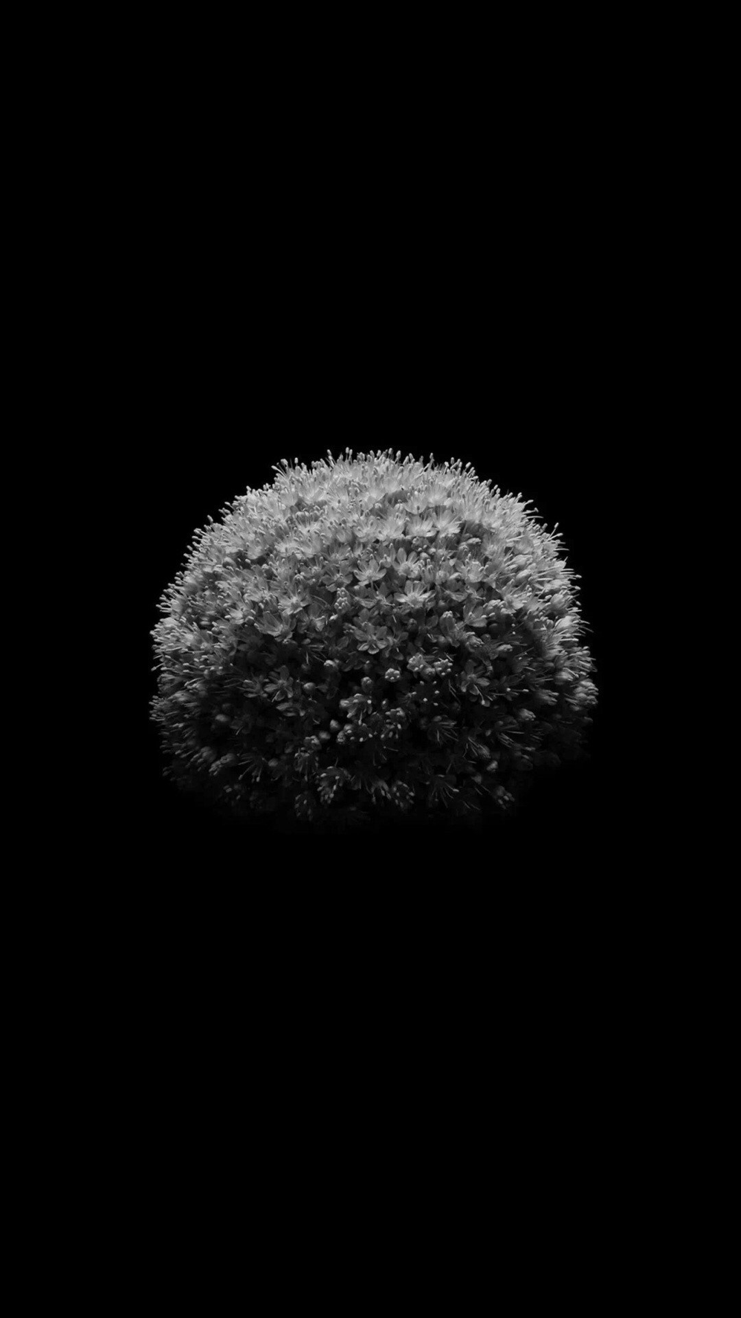 blackpink壁纸锁屏四人无水印,黑神话悟空手机壁纸无水印