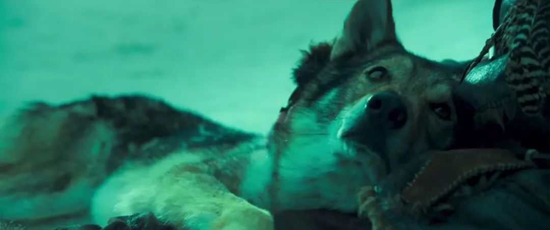 2018好莱坞大片都在这，整整28部