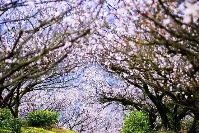 2019浙江旅行时间表,12月浙江最美旅行地排行