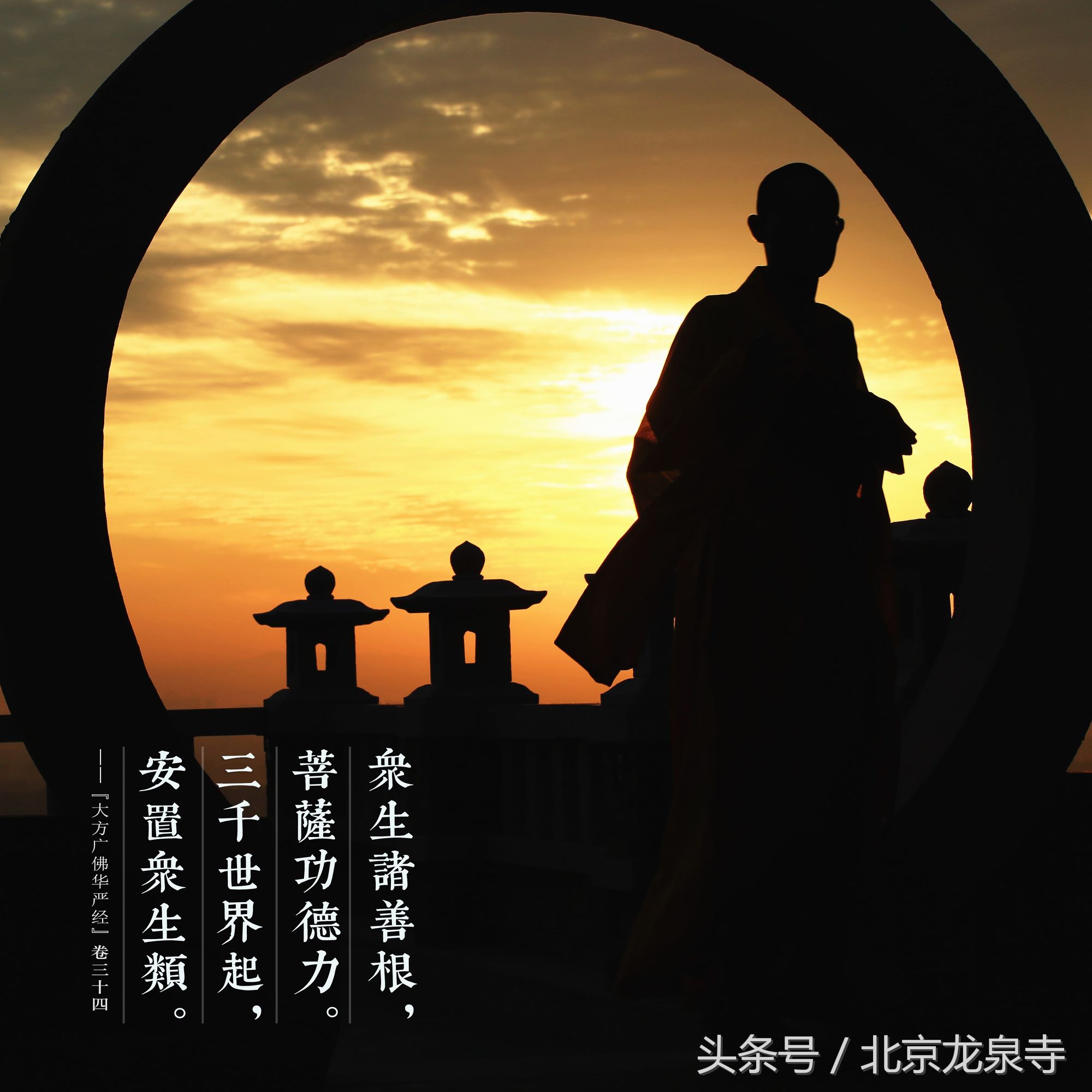 学佛法的真实感悟,初学佛法应该学什么经