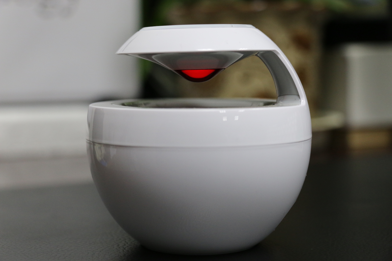 白毛浮绿水朗诵,白毛浮绿水曲项向天歌诗句