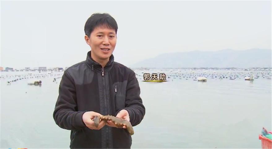 玩海参年入6000万，花样层出的他说，蠢人没机会赚钱