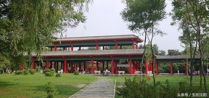 老沈阳，咱们聊聊大东区的“故事”，先从八王寺汽水、105雪糕说