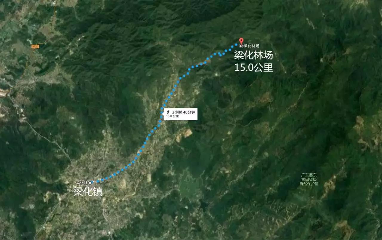 2024年梁化梅园看梅花时间,梁化梅花今年开了吗