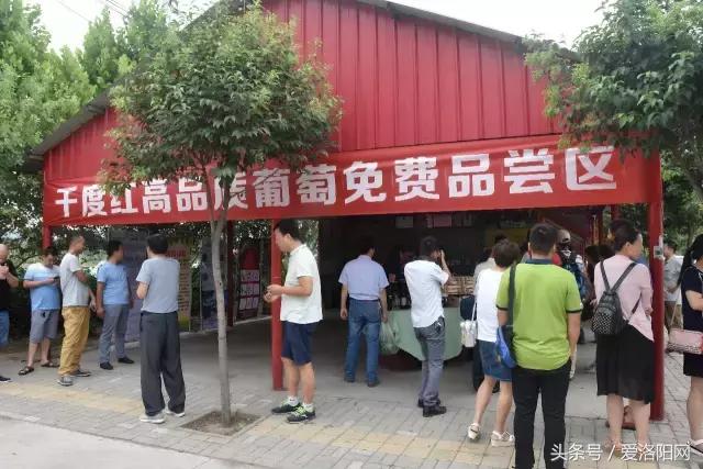 「寻津」孟津这个名镇藏着大秘密，曾被誉为“小洛阳”！如今……