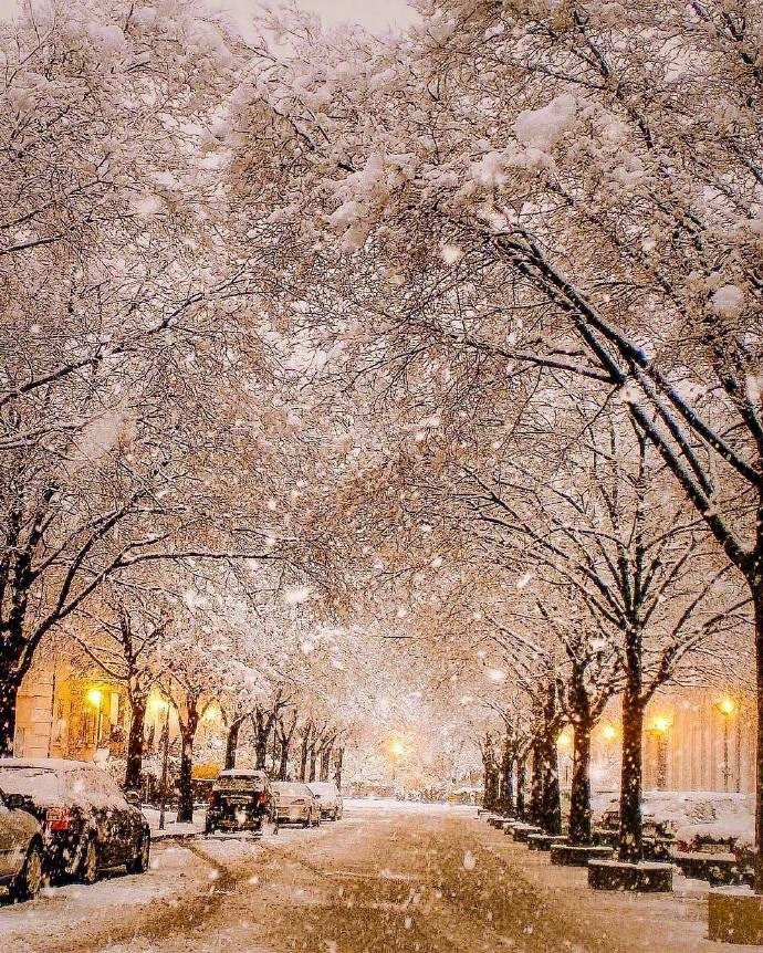 栗子姐每日情感问答完整版,情感专家栗子姐