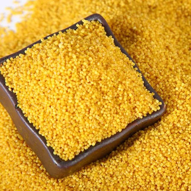 煮了很久的小米粥会怎么样,煮出来比较糯的小米