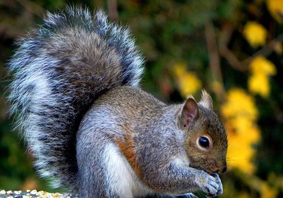 uc浏览器更改存储位置,手机格式化之后怎么恢复uc浏览器