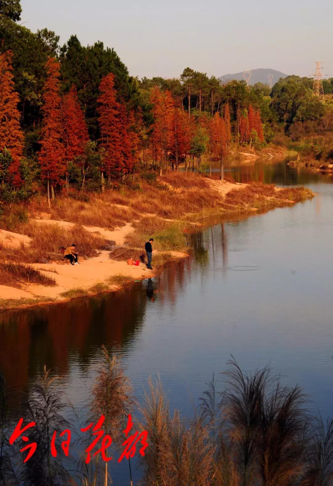 花都芙蓉嶂旅游景点,花都芙蓉嶂夜景