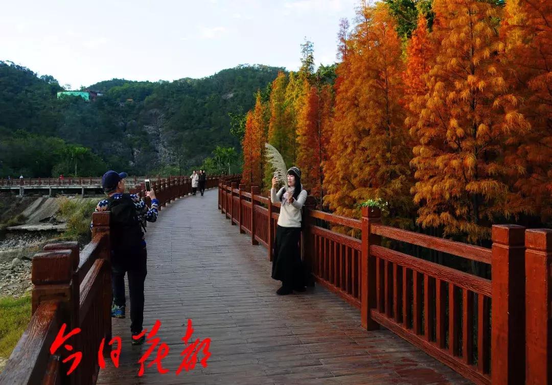 花都芙蓉嶂旅游景点,花都芙蓉嶂夜景