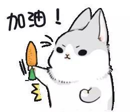 奋斗者｜我给汽轮机油做“体检”！