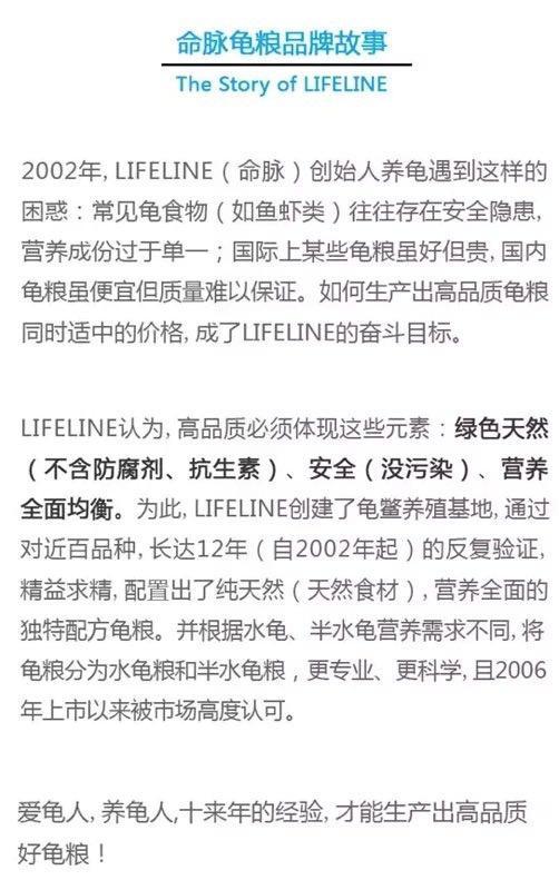 龙猫的饲养方法和禁忌,龙猫的正确饲养方法