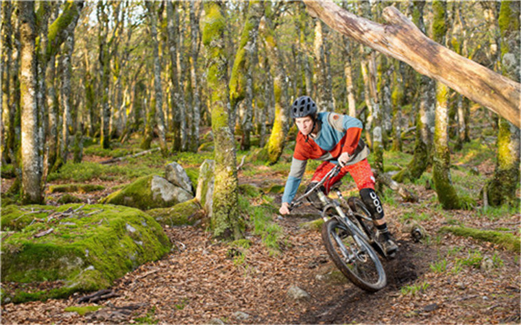会骑车的小野驴,会骑车的小伙子