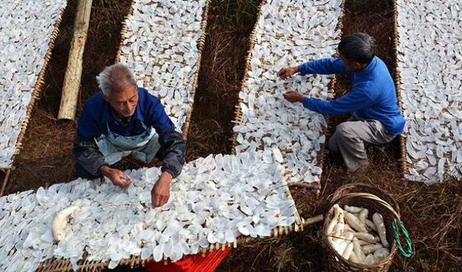 浙江省各地乡村旅游排名,浙江乡村游玩