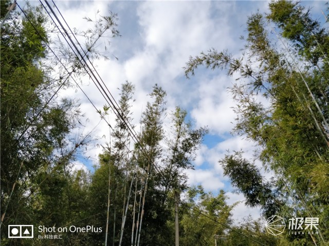 一加5t用一年的感受,一加5t深度解析