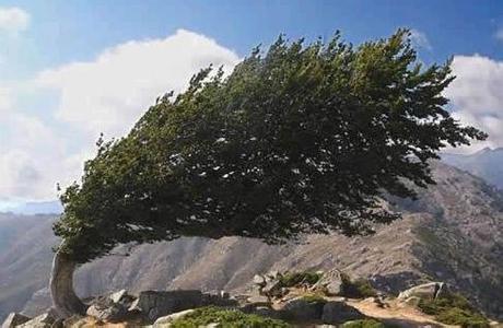 喝西北风一词由来,喝西北风古诗意思