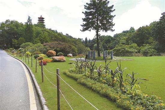 深圳新出好玩的地方,深圳市哪些公园比较值得去