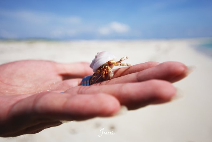 【一只熊的冒险】薄荷色夏日梦，马来西亚沙巴亚庇仙本那历险记——敦沙卡兰海洋公园（完）