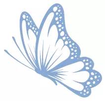 患有鼻窦炎患者的食疗方法,得了慢性鼻窦炎怎么日常护理