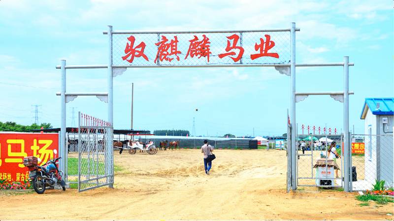 沈阳草原骑马去哪个地方好,离沈阳最近的草原骑马自驾游
