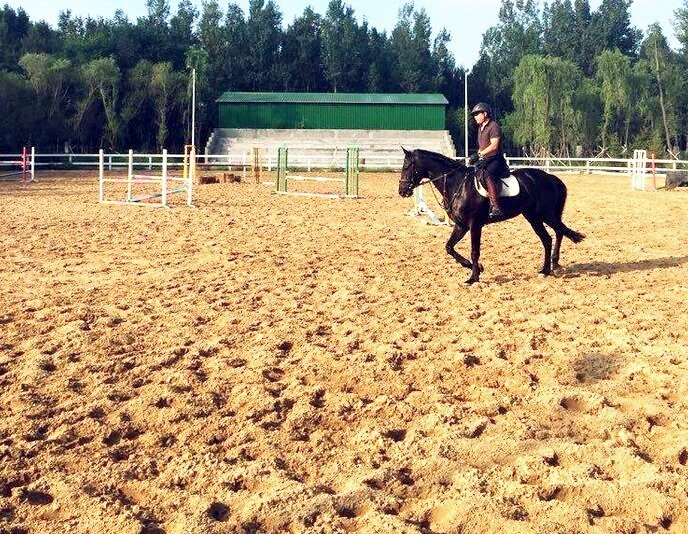 沈阳草原骑马去哪个地方好,离沈阳最近的草原骑马自驾游