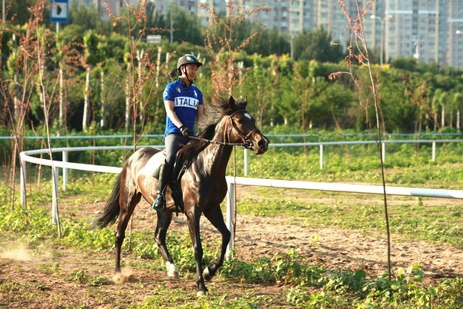 沈阳草原骑马去哪个地方好,离沈阳最近的草原骑马自驾游