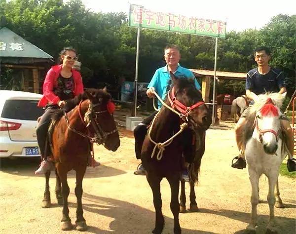 沈阳草原骑马去哪个地方好,离沈阳最近的草原骑马自驾游